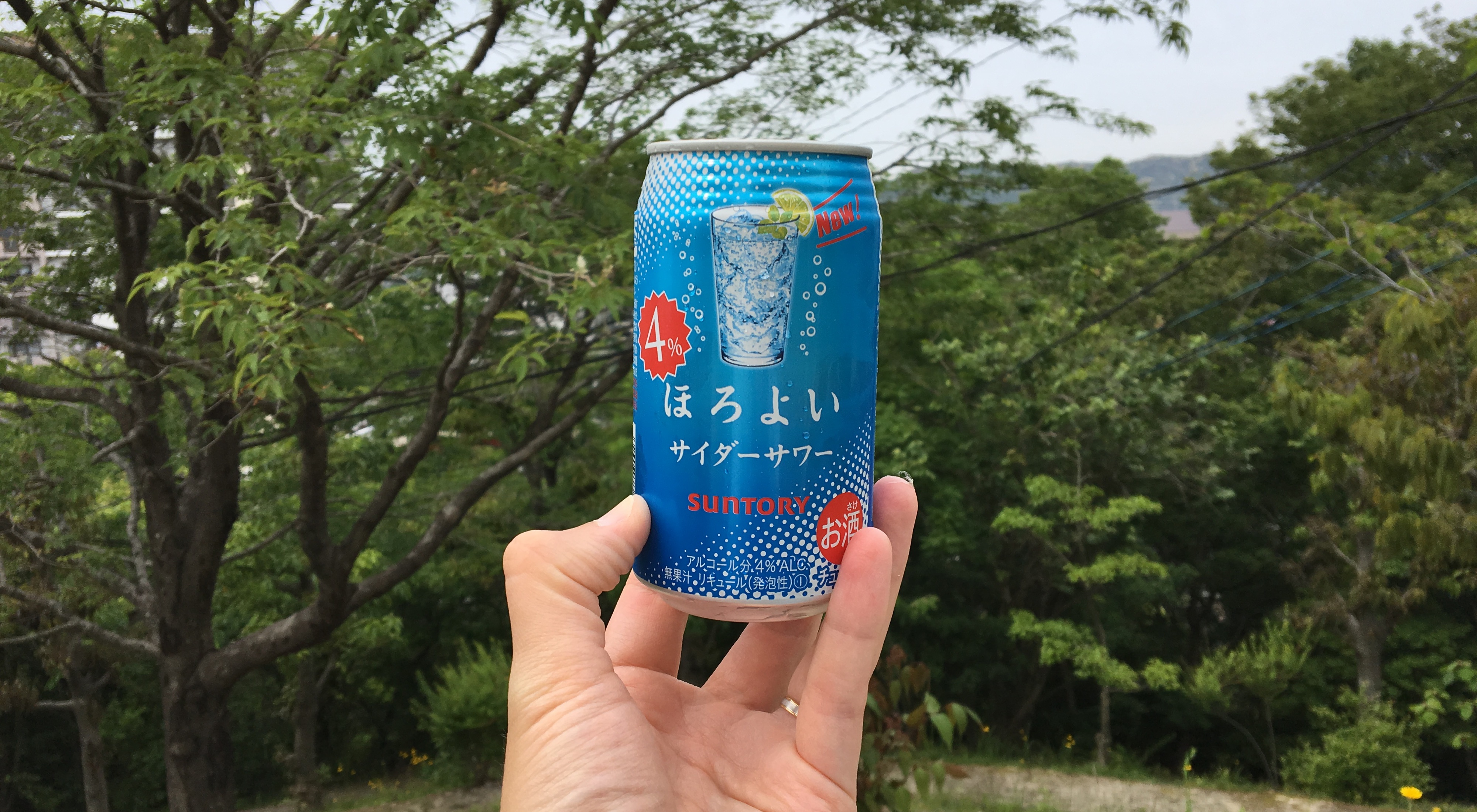 Suntory Cider Sour