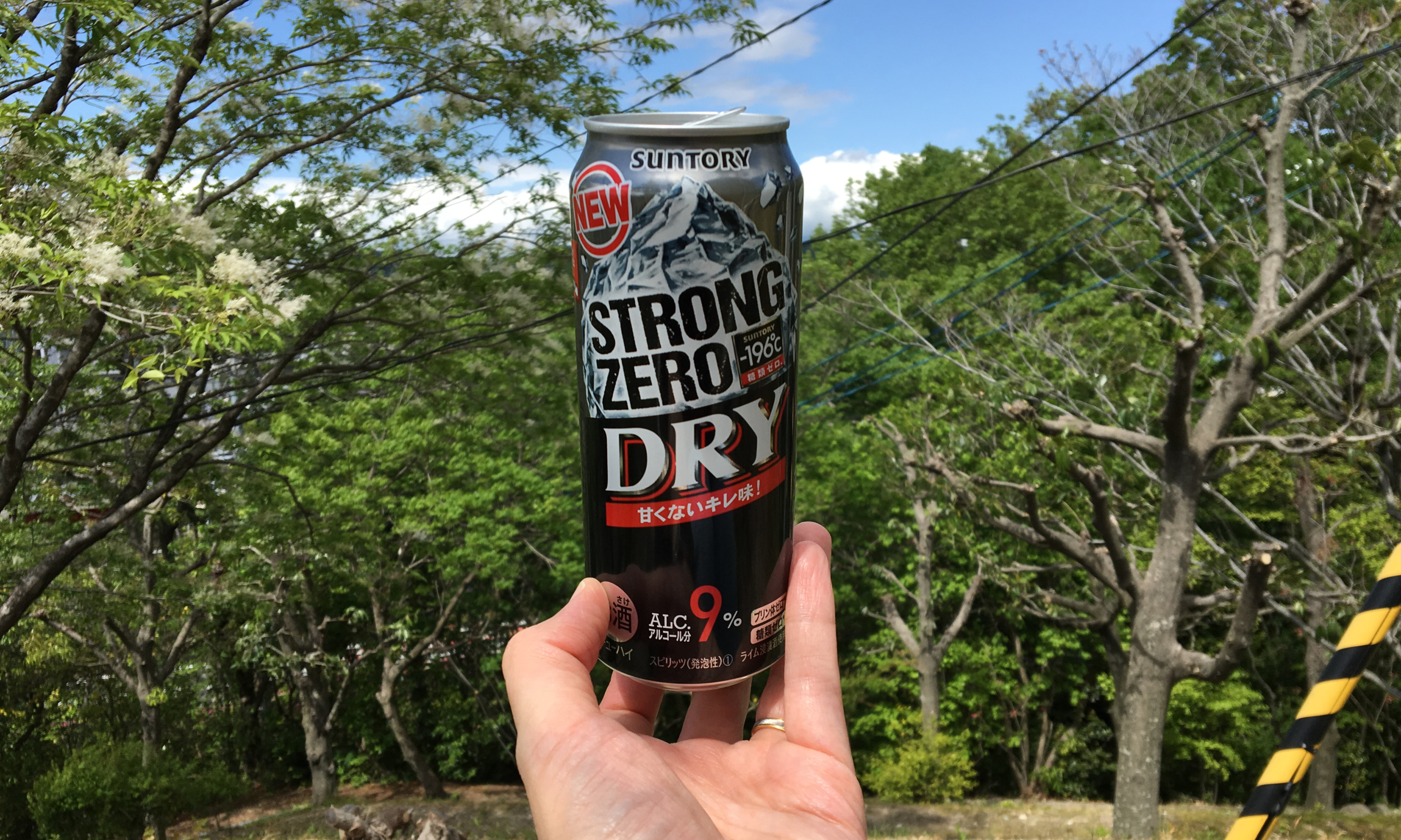 Suntory Strong Zero Dry