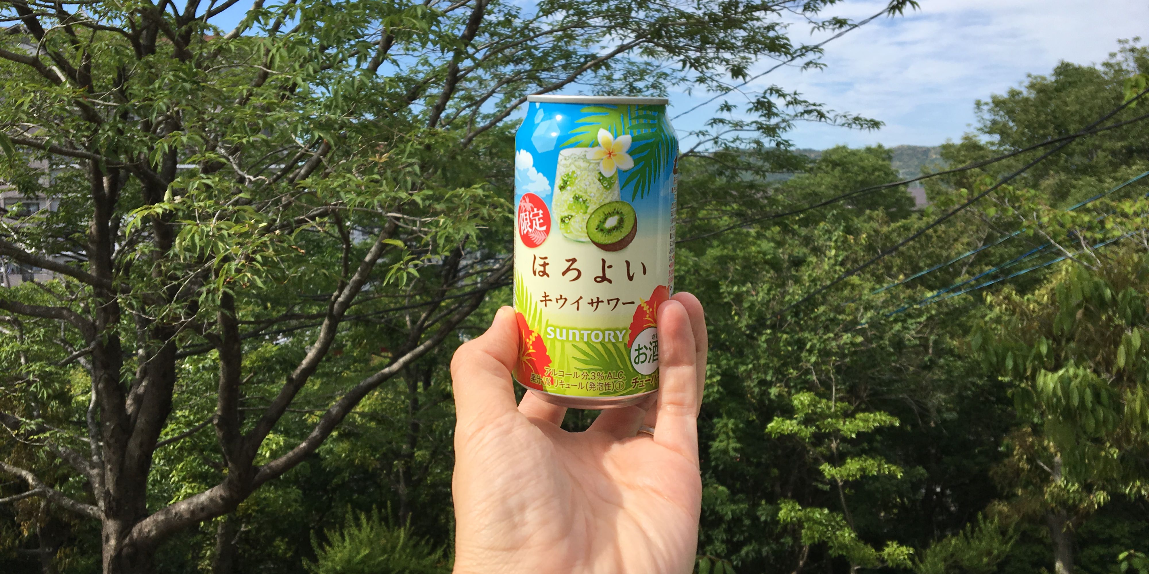 Suntory Kiwi Sour